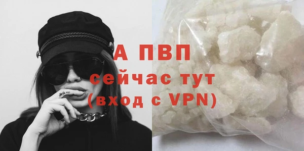 прущие крисы Абаза