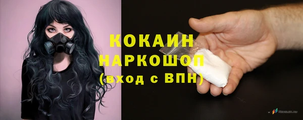 стаф Новокубанск
