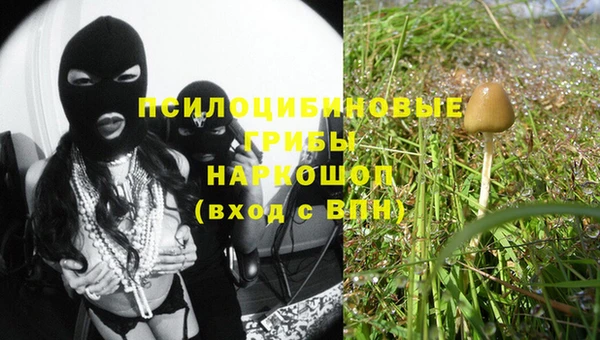 прущие крисы Абаза
