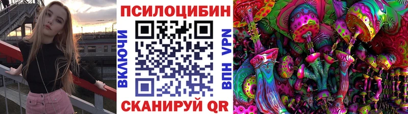 Галлюциногенные грибы Cubensis  мориарти какой сайт  Иноземцево  продажа наркотиков 